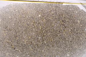 Plane Polarized, E37734/A