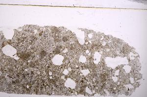 Plane Polarized, E37757/A
