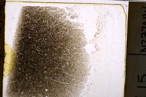 Plane Polarized, E37759