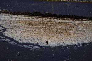 Cross Polarized, E37788