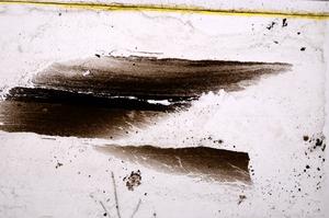 Plane Polarized, E37789