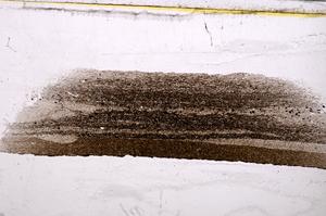 Plane Polarized, E37791