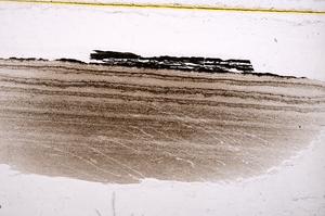 Plane Polarized, E37797