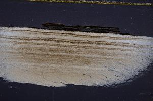 Cross Polarized, E37797