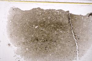 Plane Polarized, E37828