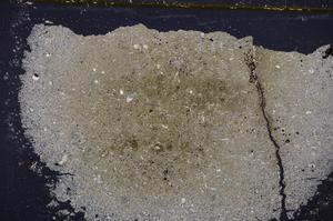 Cross Polarized, E37828