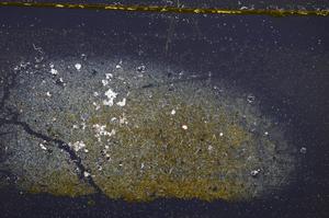 Cross Polarized, E37831