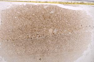Plane Polarized, E37837