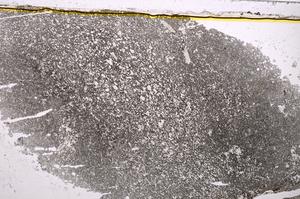 Plane Polarized, E37849