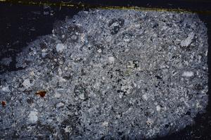 Cross Polarized, E37855