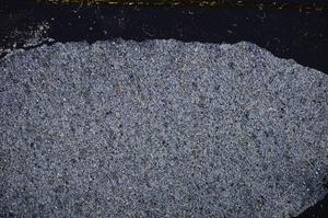 Cross Polarized, E37856