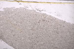 Plane Polarized, E37857