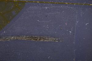 Cross Polarized, E37863