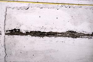 Plane Polarized, E37864