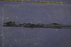 Cross Polarized, E37864