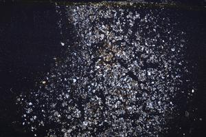 Cross Polarized, E37886