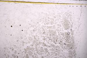 Plane Polarized, E37887