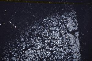 Cross Polarized, E37887