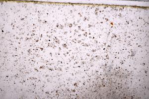 Plane Polarized, E37889