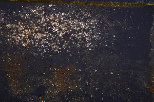 Cross Polarized, E37895