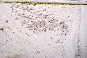 Plane Polarized, E37896