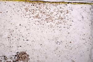 Plane Polarized, E37897