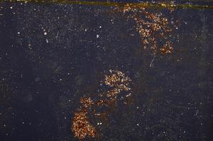 Cross Polarized, E37901