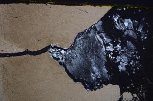 Cross Polarized, E37914