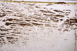 Plane Polarized, E37915