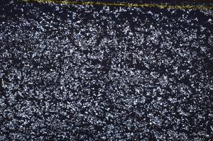 Cross Polarized, E37985