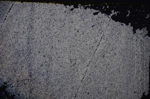 Cross Polarized, E37988