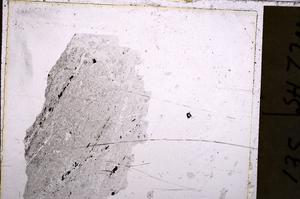 Plane Polarized, E37989