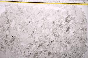 Plane Polarized, E37990