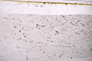 Plane Polarized, E37991