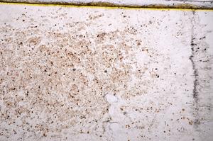 Plane Polarized, E38057