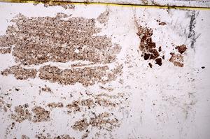 Plane Polarized, E38058