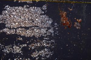 Cross Polarized, E38058