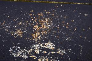 Cross Polarized, E38060