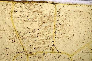 Plane Polarized, E38061