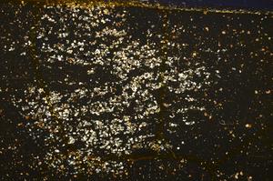 Cross Polarized, E38061