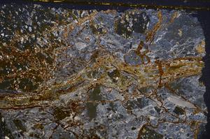 Cross Polarized, E38069