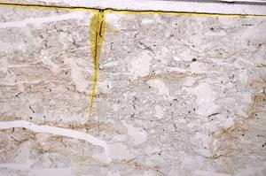 Plane Polarized, E38170