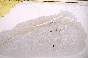 Plane Polarized, E38178