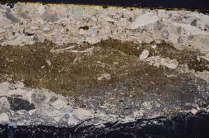 Cross Polarized, E38266