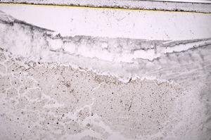 Plane Polarized, E38271