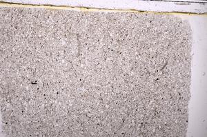 Plane Polarized, E38327