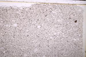 Plane Polarized, E38328