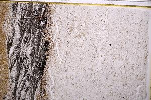 Plane Polarized, E38337