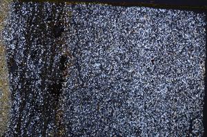 Cross Polarized, E38337