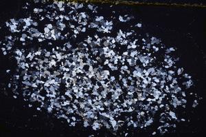 Cross Polarized, E38398